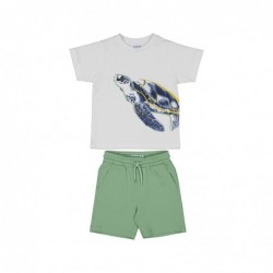 Conjunto punto Mayoral turtle